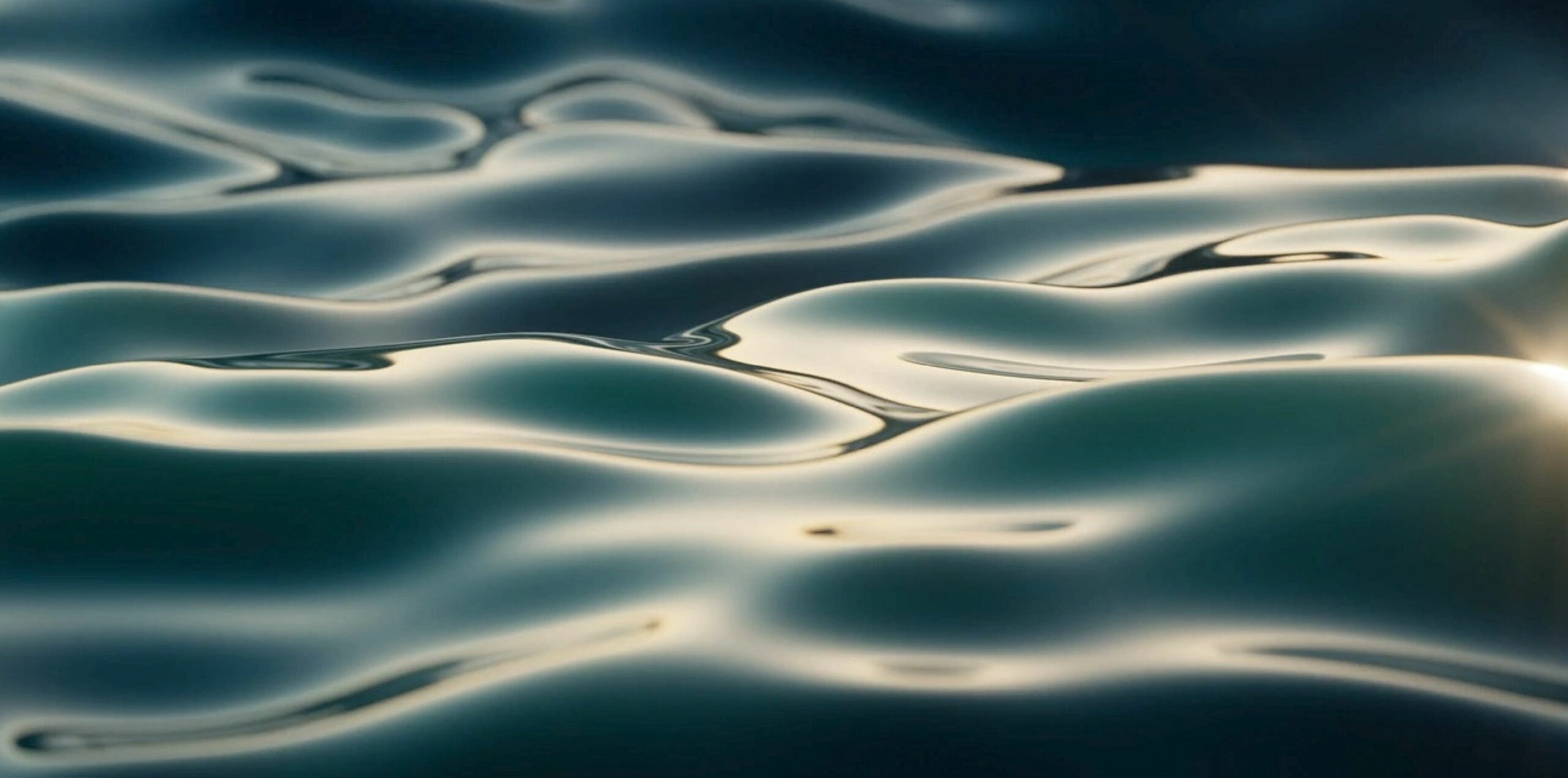 Sun glistening in rippled water.